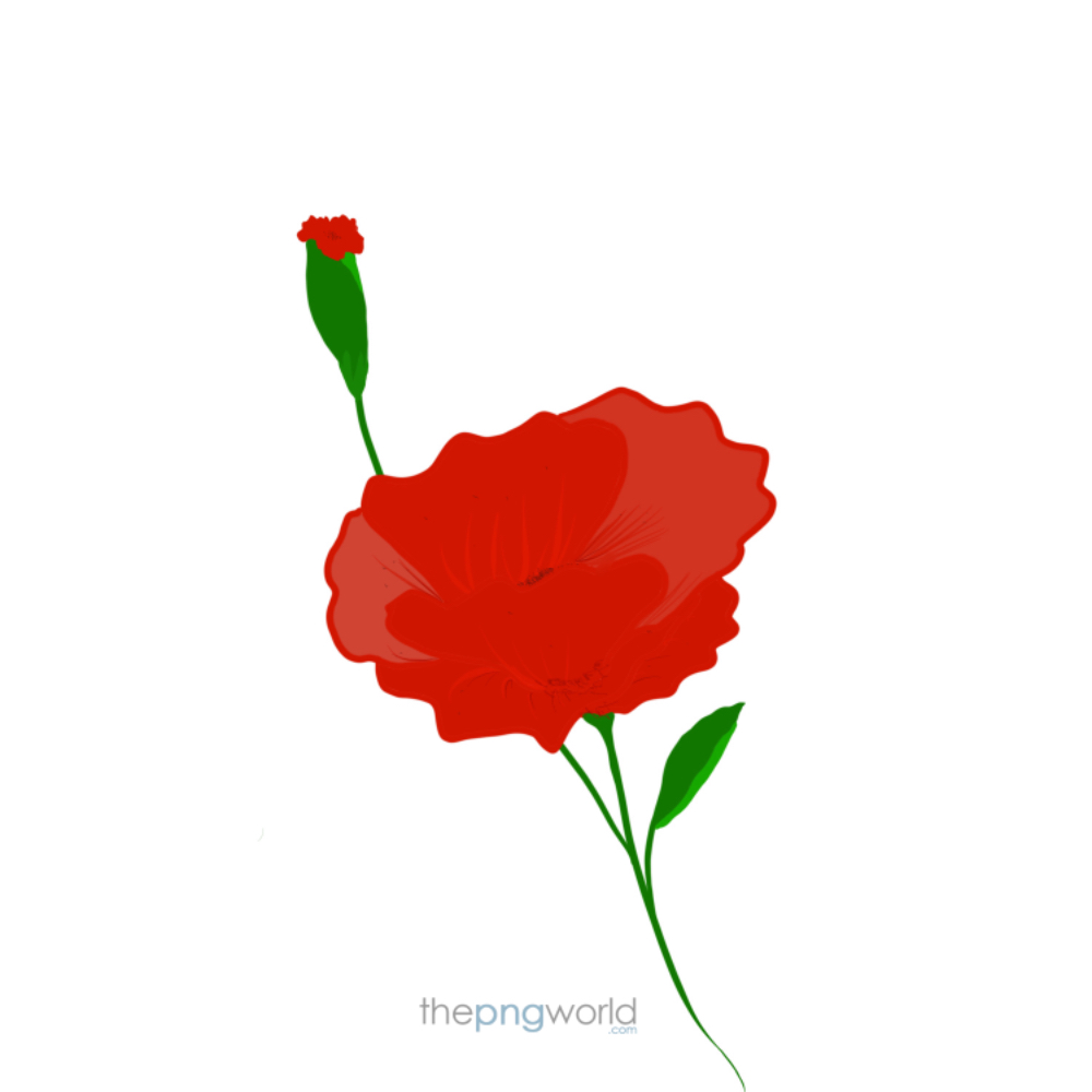 Red flower Flower,leaf,nature,love,red,plant,green,icon,shape,garden,frame,image,background,handmade,creative,cute,propose